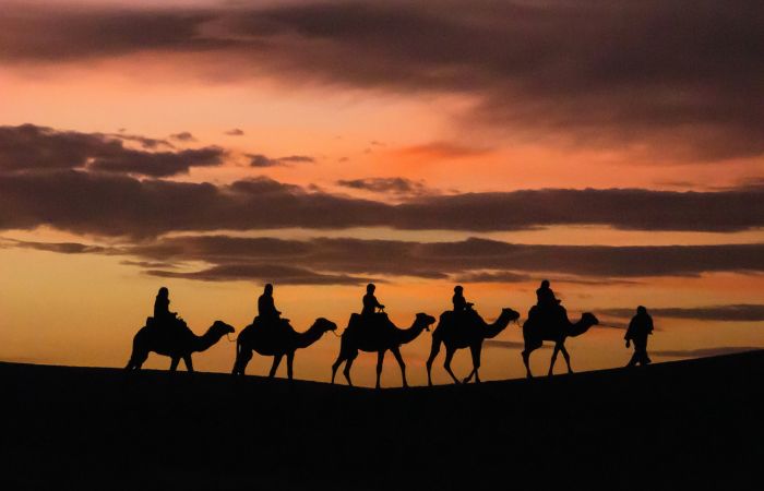 3-Day Tour from Marrakech to Sahara and Fes