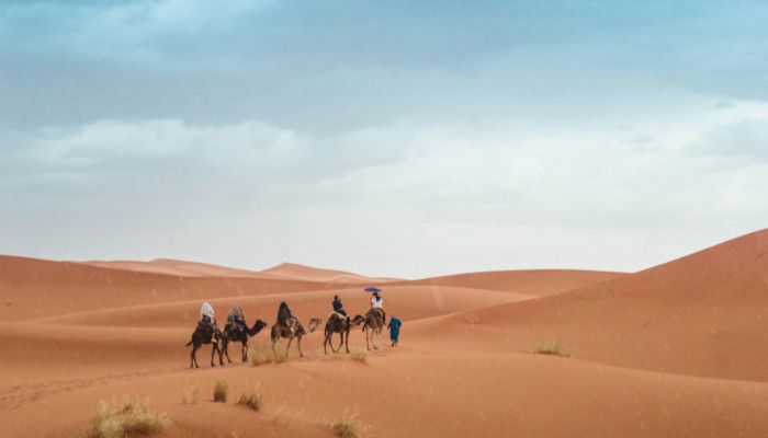 6-Day Tour from Tangier to the Imperial Cities and Sahara Desert